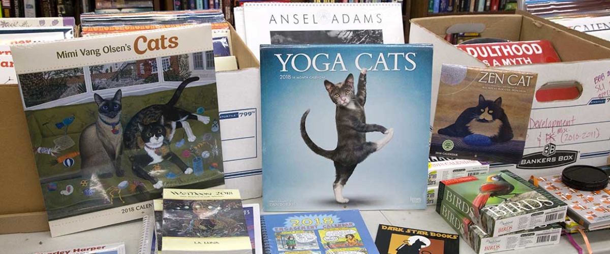 darkstaryogacat